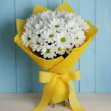 Букет цветов из:  Хризантемы в Петропавловке Республики Бурятия