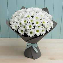 Букет цветов из:  Хризантемы в Петропавловке Республики Бурятия