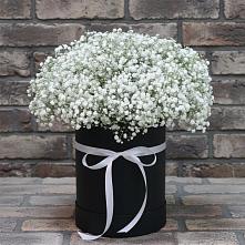 Цветочная композиция из Гипсофила в шляпной коробке в Петропавловке Республики Бурятия