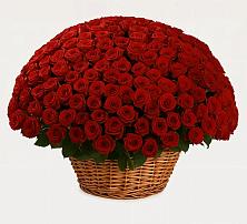 Премиум букет из: Розы в Петропавловке Республики Бурятия