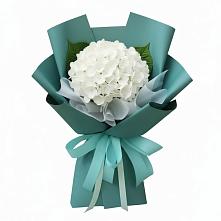 Букет цветов из:  Гортензия в Петропавловке Республики Бурятия